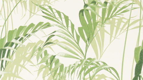 Palm House 216643